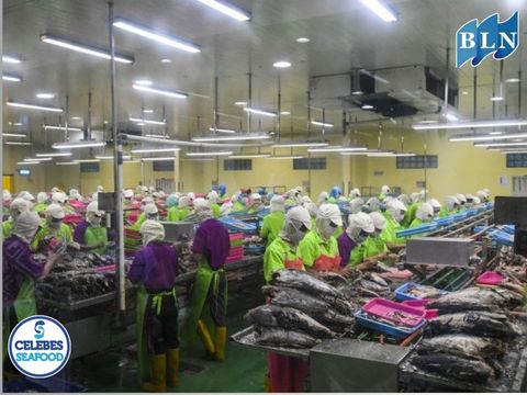 Marine Product Transformation: Innovation in the Center for Downstream Fisheries Industry